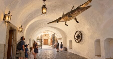 Dragão de Brno: a lenda do crocodilo que ganhou uma nova vida em 2026