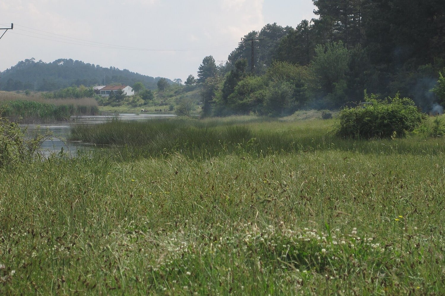 Paisagem com água e vegetação em Buldan