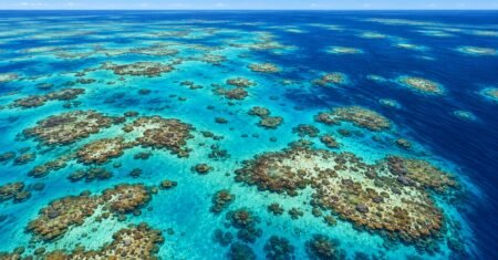 Grande Barreira de Coral: escolha o passeio certo saindo de Cairns